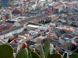 Mula Antigua serie-2